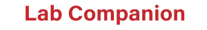 LAB COMPANION TERBATAS.